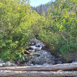 Onion Valley Campground - Another creek in the campground