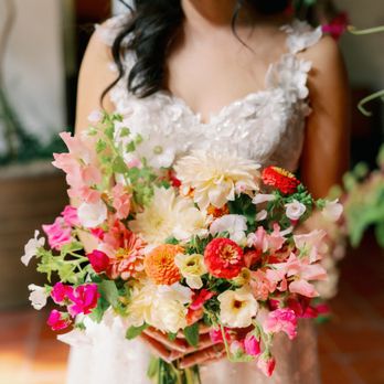 Caitlin Alohilani Photography - Session Photography Near Me
