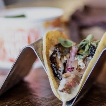Velvet Taco - Grilled Steak Taco - New American Near Me - San Antonio, Texas Velvet Taco - Grilled Steak Taco - New American Near Me - San Antonio, Texas