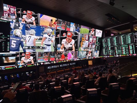 Circa Sportsbook by null