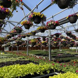 Flint's Garden Center