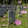 Mount Pleasant Cemetery & Crematorium