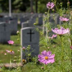 Mount Pleasant Cemetery & Crematorium