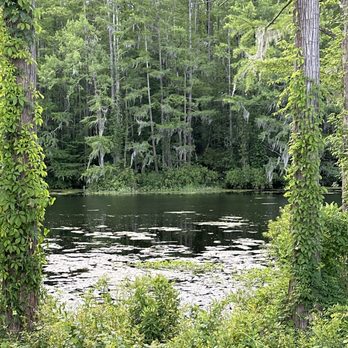 Greenfield Park - Local Flavor Near Me - Wilmington, North Carolina