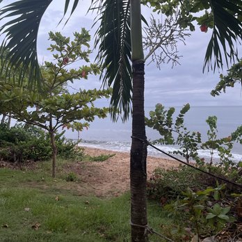 Harbor Restaurant - Beach View - Seafood Near Me - Rincón, Puerto Rico Harbor Restaurant - Beach View - Seafood Near Me - Rincón, Puerto Rico