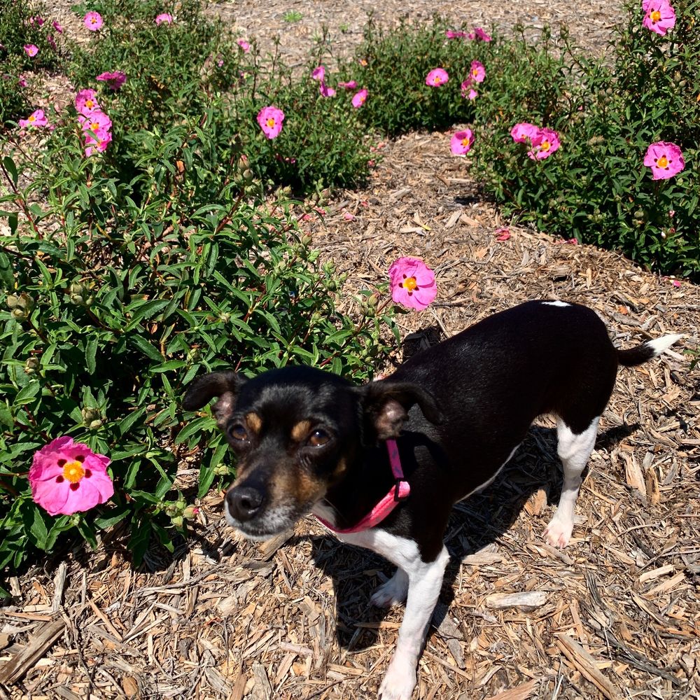 Kaiser Permanente Sports Village, Bakersfield Roadtrippers