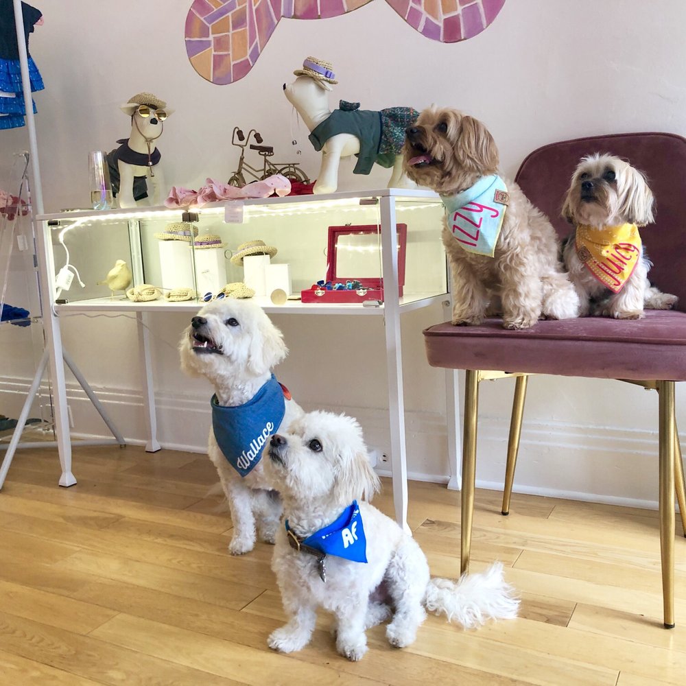 Mishka - Pet Stores Near Me - San Francisco, California Mishka - Pet Stores Near Me - San Francisco, California