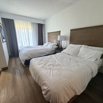 Hotel Alice - 2 dbl beds - Hotels Near Me - Pine Knoll Shores, North Carolina Hotel Alice - 2 dbl beds - Hotels Near Me - Pine Knoll Shores, North Carolina