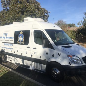 vip dog grooming