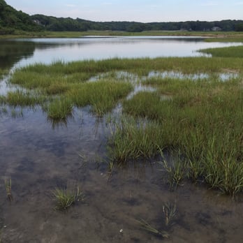 Wood Neck Beach - the marshy parts are full of little fish (& probably other critters, too) - Beaches Near Me - Falmouth, Massachusetts