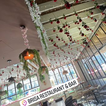 Brisa Restaurant & Bar - Cute decor - Bars Near Me - San Diego, California Brisa Restaurant & Bar - Cute decor - Bars Near Me - San Diego, California
