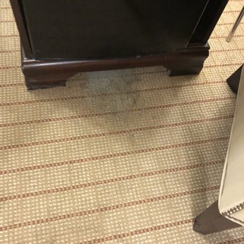 Sheraton Chapel Hill Hotel - Mold - Hotels Near Me - Chapel Hill, North Carolina Sheraton Chapel Hill Hotel - Mold - Hotels Near Me - Chapel Hill, North Carolina