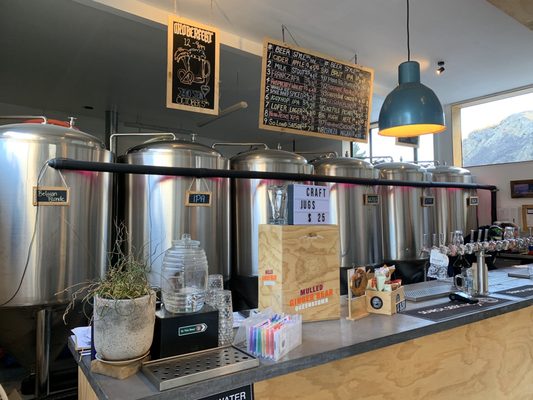 Searchlight Brewery by null