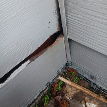 Done Right Rodent Proofing - Pest Control Near Me - Novato, California