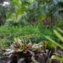 Photo of Let's Grow Nursery