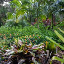 Let's Grow Nursery