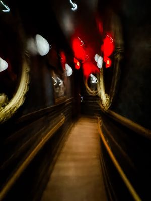 Caspian's Rock & Roe by null