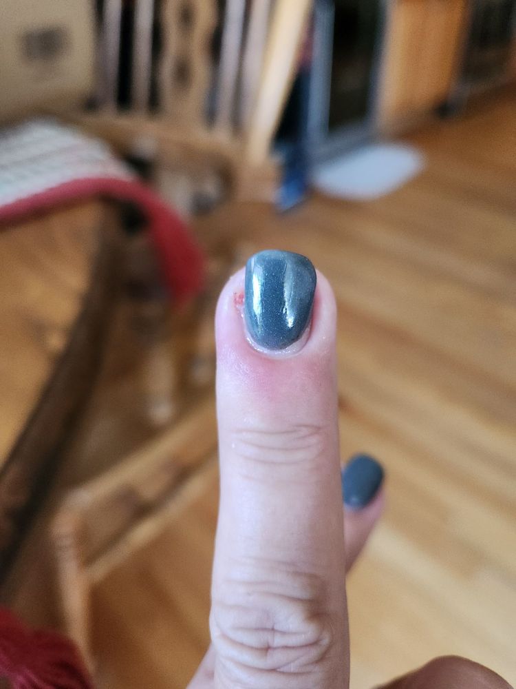 Ziza Nail Spa Logo