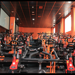 Fitness Place