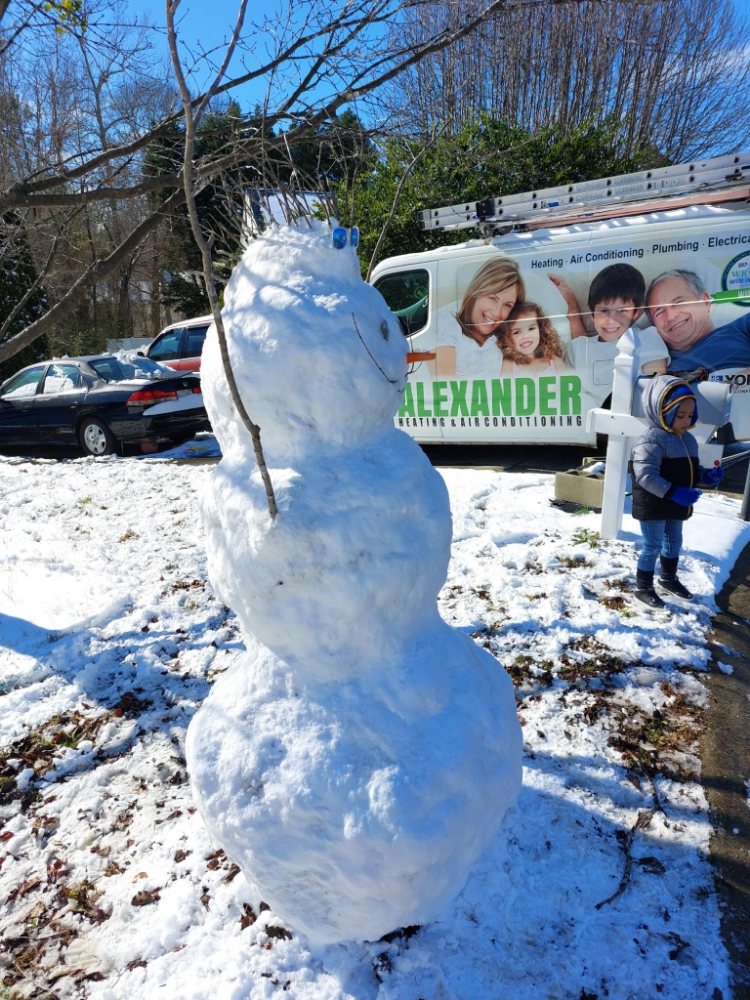 Slide of Alexander Services