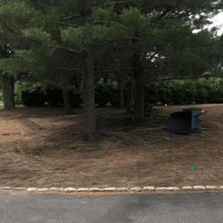 Steeplechase Irrigation
