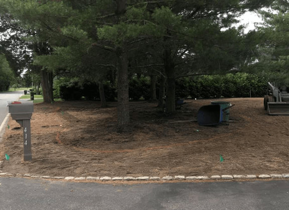 Slide of Steeplechase Complete