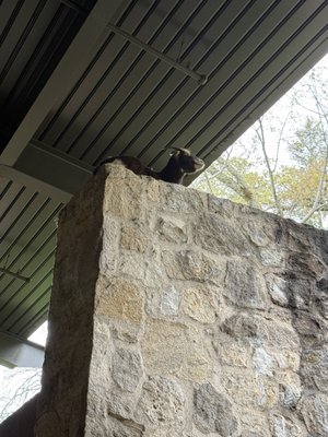 Brasswood Cellars by null