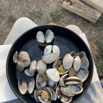 Kelly Brighton Marina - Yummy clams - Seafood Near Me - Rockaway Beach, Oregon Kelly Brighton Marina - Yummy clams - Seafood Near Me - Rockaway Beach, Oregon