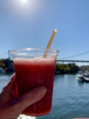 Hudson River Cruises by null