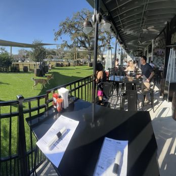 Barkhaven - From the patio of the seated area - Dog Parks Near Me - Orlando, Florida
