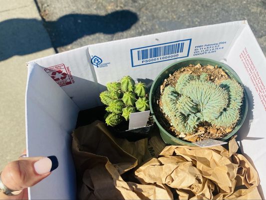 Public Land Store by null