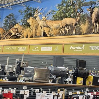 Bass Pro Shops - Fashion Near Me - Allen, Texas