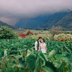 Maui Love Weddings and Events