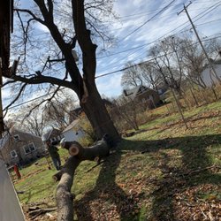 The branch is finally off the roof!