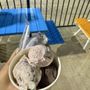 Photo of Nic & Ned’s Scoop Shop