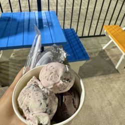 Nic & Ned’s Scoop Shop - Double: Kitty Kitty Bang Bang and Zanzibar Chocolate