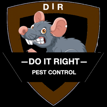 Do It Right Pest Control - Pest Control Near Me