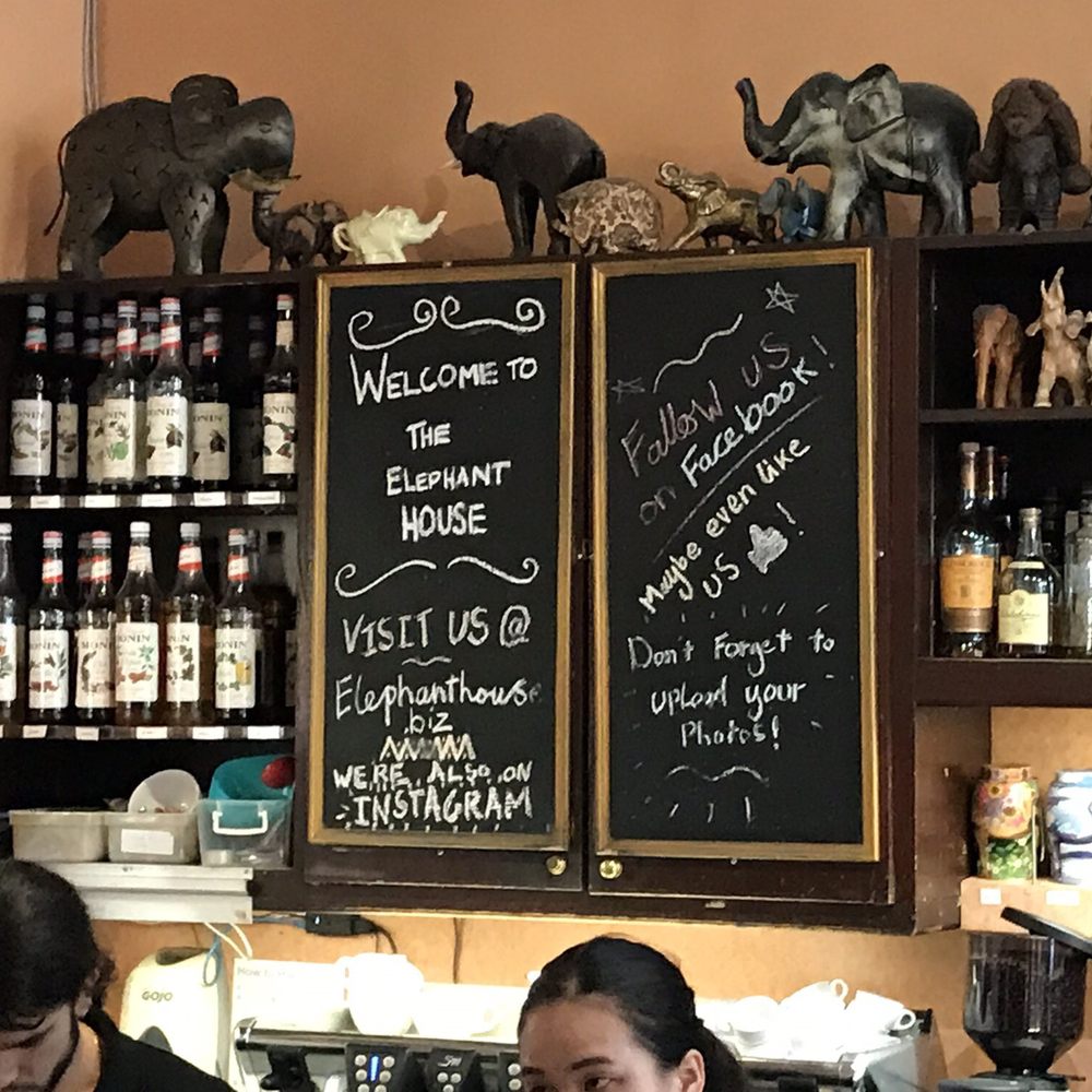 The Elephant House - Scottish Near Me - Edinburgh, EDH The Elephant House - Scottish Near Me - Edinburgh, EDH