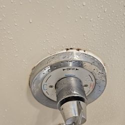 Quality Inn - More mold..