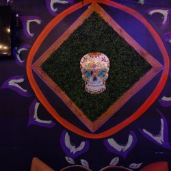Mr Taco Cantina - Cool artwork
