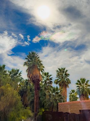 The Living Desert Zoo and Gardens by null The Living Desert Zoo and Gardens by null