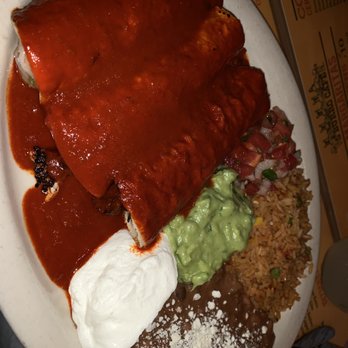 5 Burro Cafe - Enchiladas - Mexican Near Me - Forest Hills, New York