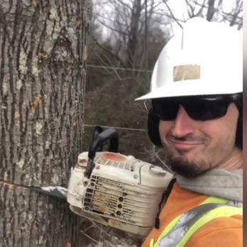 Grey Bruce Tree Workers - Work example - Tree Services Near Me - Tiverton, Ontario