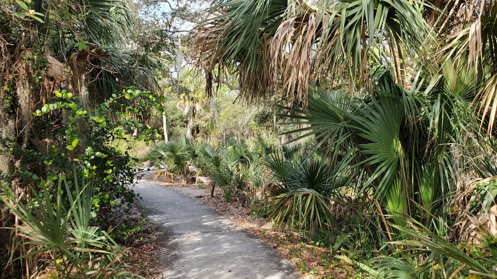 YAMATO SCRUB NATURAL AREA Updated September 2024 79 Photos 701