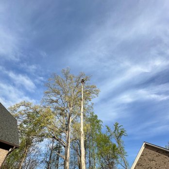 Agla Tree Services - Tree Services Near Me Agla Tree Services - Tree Services Near Me
