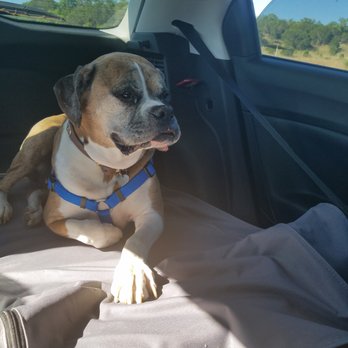 Camp Bow Wow - Pet Groomers Near Me - Spicewood, Texas