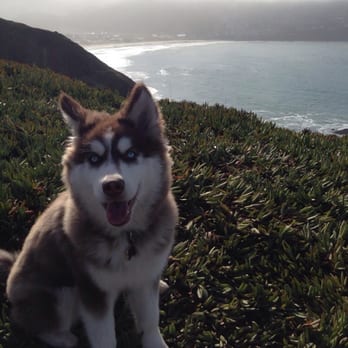 Rockaway Beach - He loves it. - Beaches Near Me - Pacifica, California