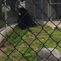Wildlife and Ecology Center