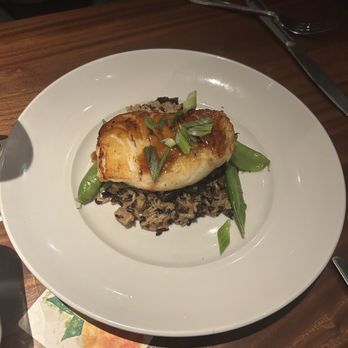 Seasons 52 - Sea Bass - New American Near Me - Lone Tree, Colorado