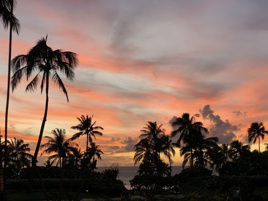 Cane & Canoe by null